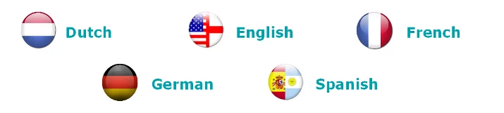 languages flags representing languages
