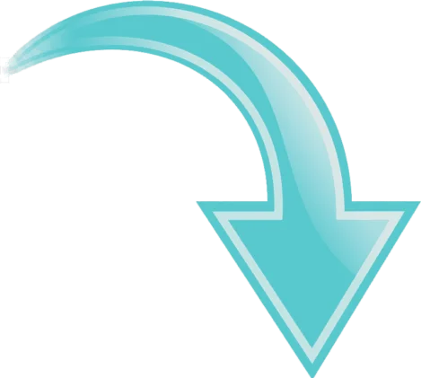 seta
